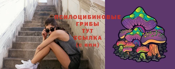 apvp Аркадак