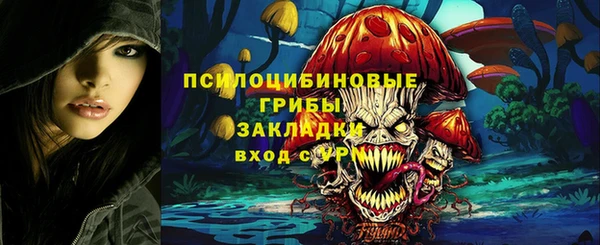 герыч Арсеньев