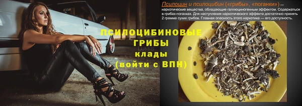 apvp Аркадак
